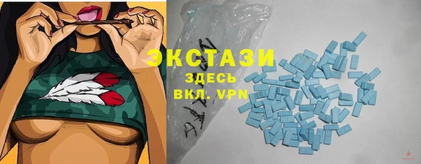 прущие грибы Горняк