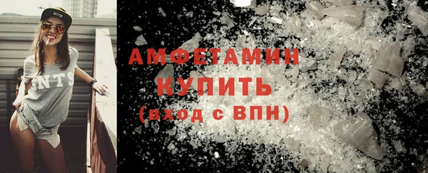 прущие грибы Горняк