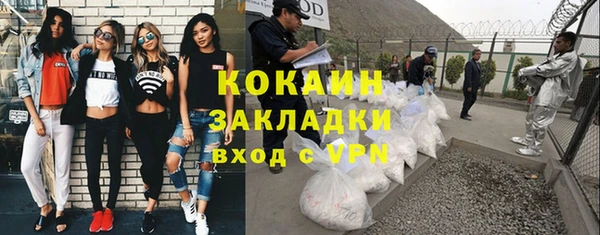 сатива Покачи