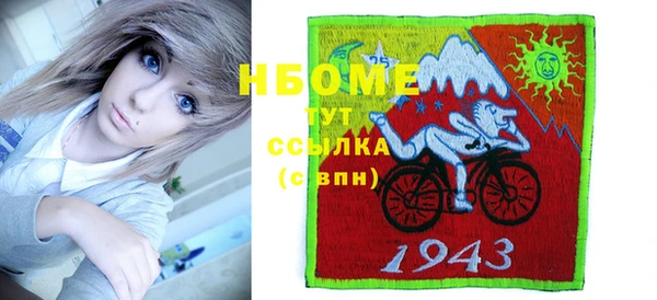прущие грибы Горняк