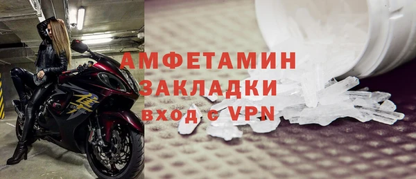 прущие грибы Горняк