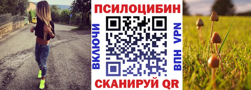 Псилоцибиновые грибы GOLDEN TEACHER  kraken   Дрезна 